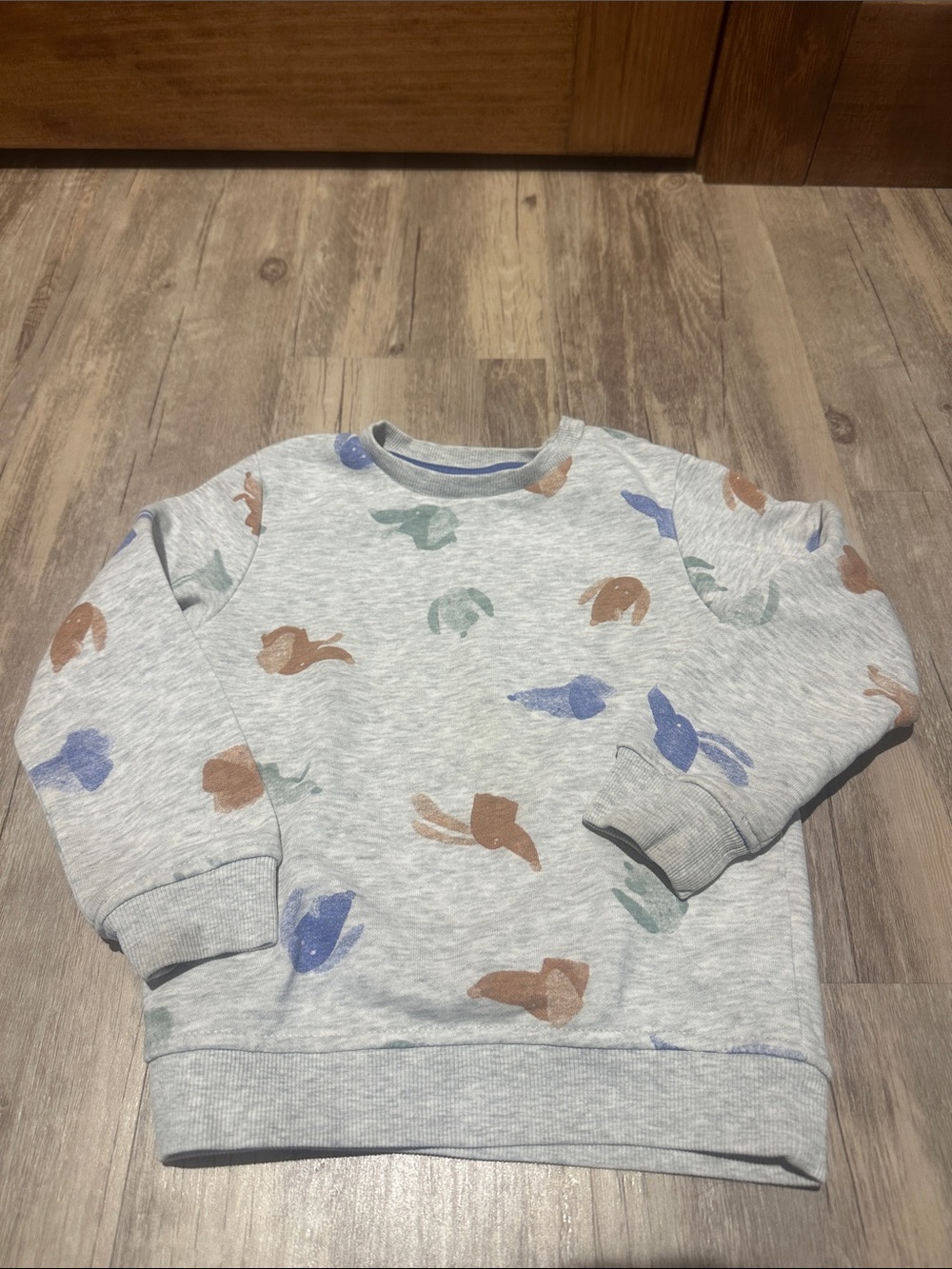 4T Dog Sweatshirt